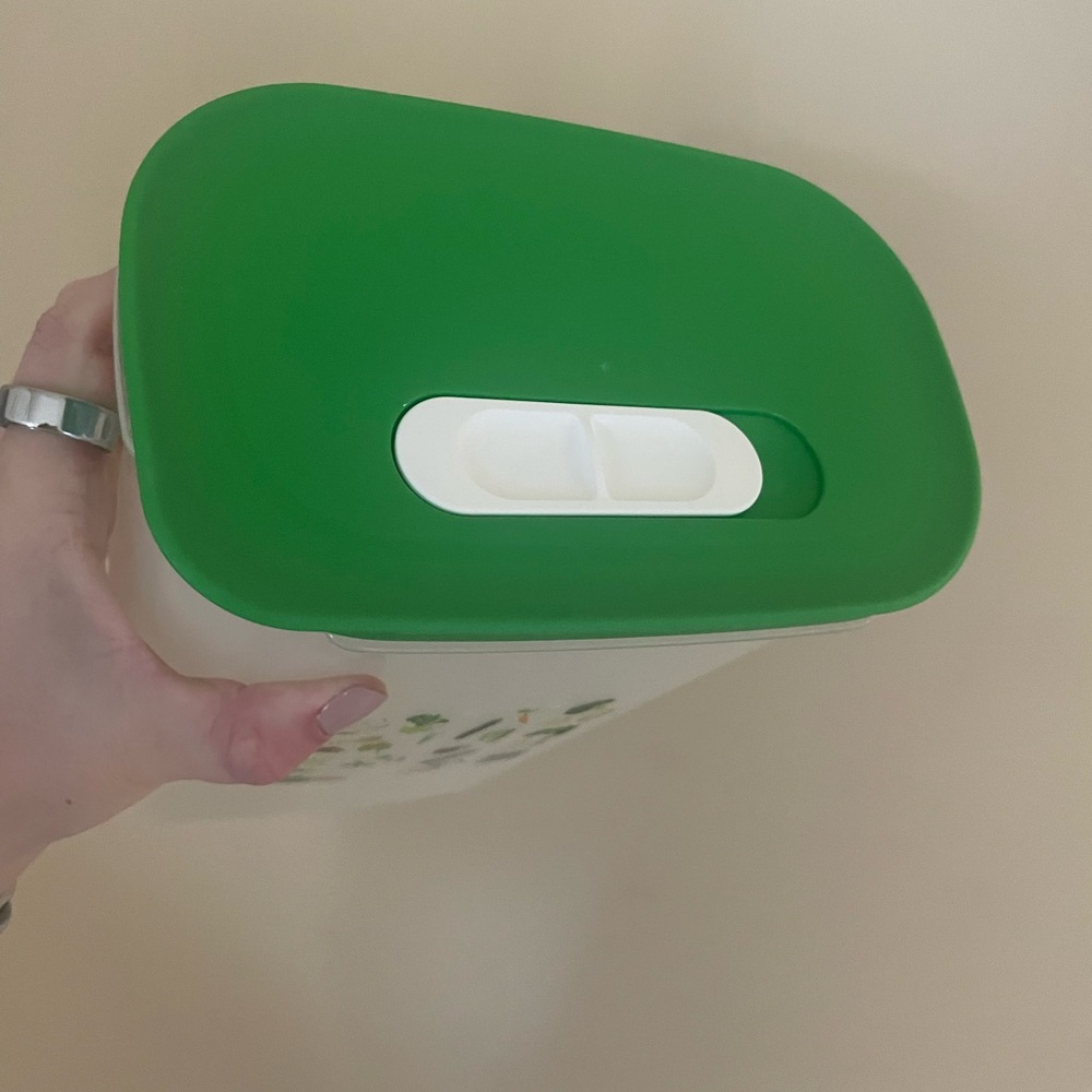 Tupperware Green and White Food Storage Container